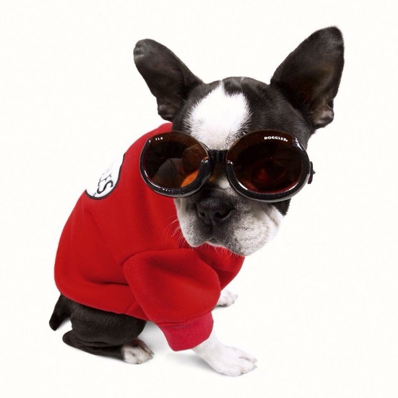 Doggles - Picture 1 of 1